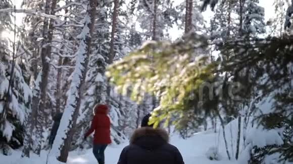 日出时一群朋友慢慢地沿着一条冬林小径散步视频的预览图