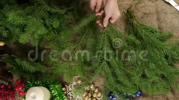 花商准备杉树枝为新年组成从大树枝上撕下小树枝创造圣诞节视频的预览图