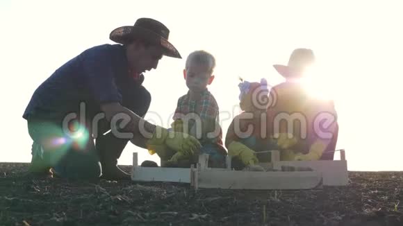 家庭幸福收获团队合作日落时分一家人在田野里收获土豆农业经营理念农场视频的预览图