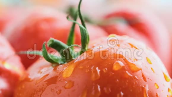 红熟番茄加滴水特写视频的预览图