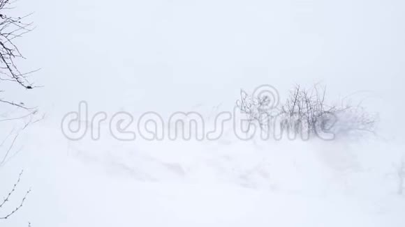 暴风雪来了冬天的风视频的预览图