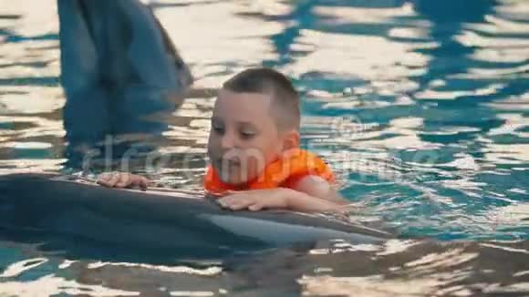 在游泳池里和海豚一起游泳的男孩视频的预览图