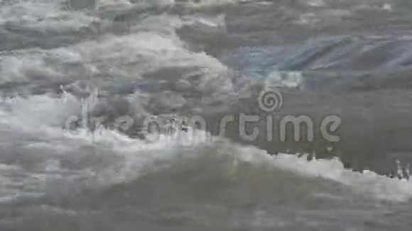 暴雨过后的河溪山溪水晶净源视频的预览图