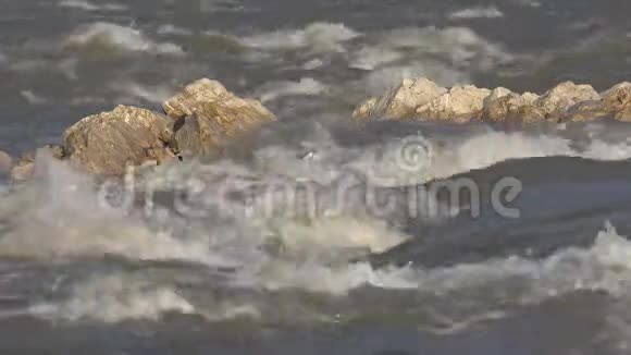 暴雨过后的河溪山溪水晶净源视频的预览图