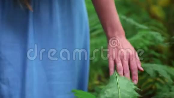 穿着蓝色衣服走在森林里的妇女用手触摸绿叶的后景视频的预览图