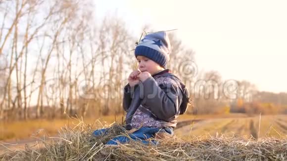 一个孩子坐在干草堆上他又玩又笑乡村日落视频的预览图