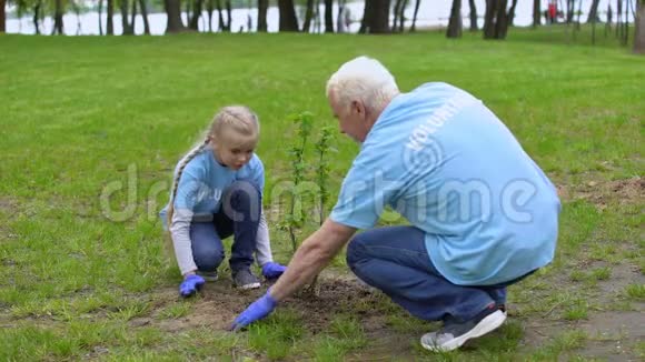 快乐的老年志愿者和微笑的女孩子一起植树生态视频的预览图