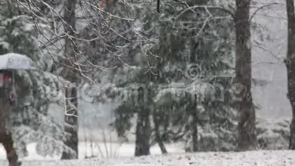 下雪时在公园里散步视频的预览图