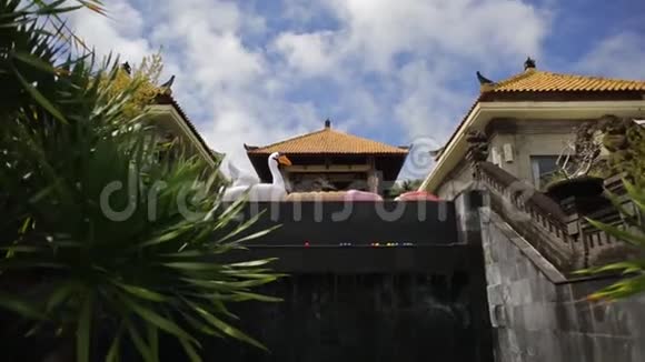 巴厘岛游泳池和充气动物旅游印度尼西亚视频的预览图