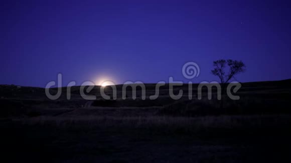 月亮在晴朗的蓝天中升起傍晚夜幕降临满月山上一棵孤树顶着星星视频的预览图