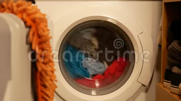 家里有洗衣的洗衣机视频的预览图