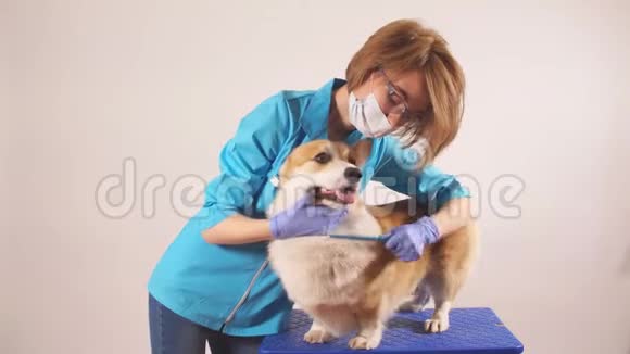 女修男清洁狗视频的预览图