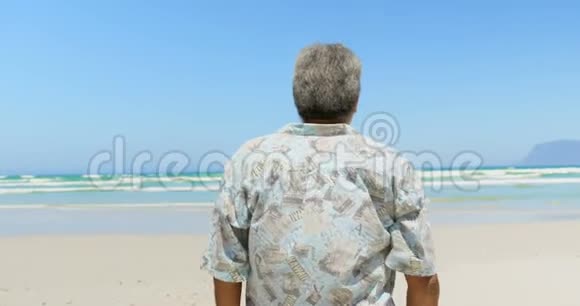 活跃的非裔美国人男子的后视图手臂站立在海滩4k视频的预览图