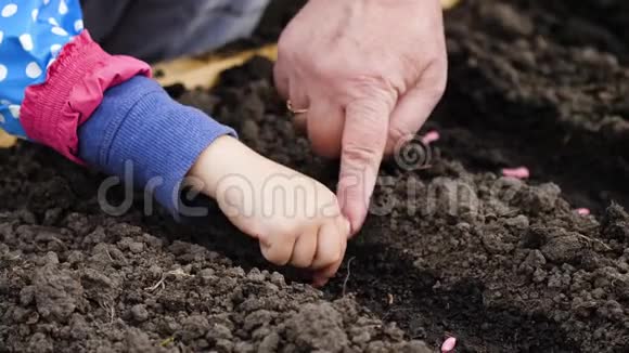 女孩和奶奶种种子视频的预览图