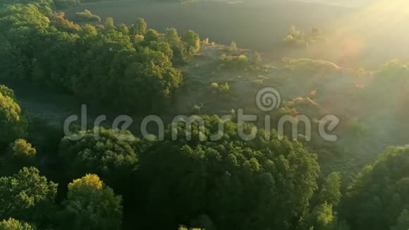 农村风光林树飞过来视频的预览图