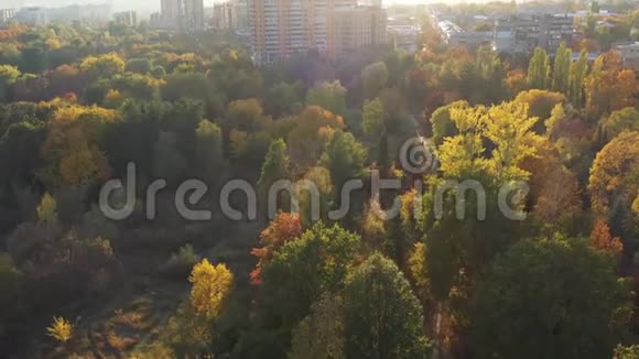 美丽的秋天城市公园和植物园背景是高楼大厦城市的五彩落叶树视频的预览图
