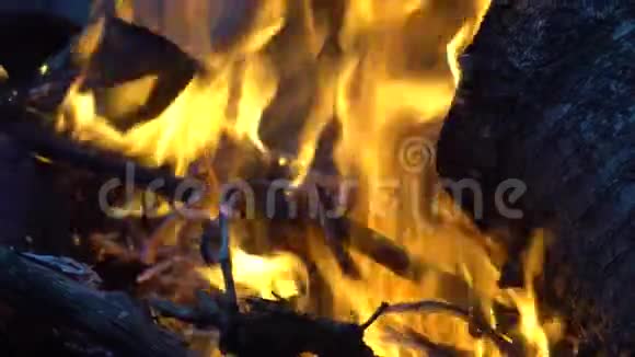 在露天烤架上从果树上烧柴火视频的预览图