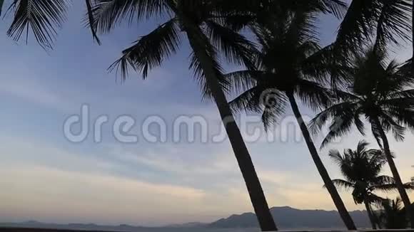 地中海的棕榈树日落金色蓝天背光视频的预览图