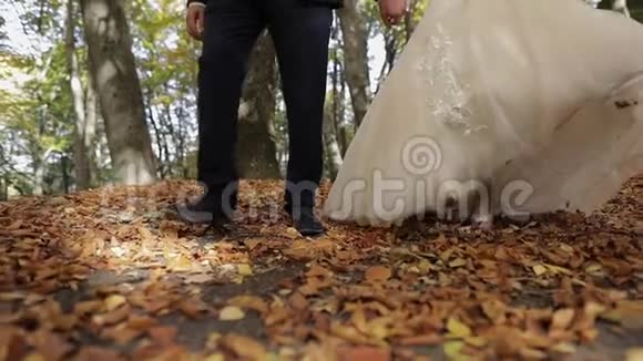 新郎和新娘的腿在森林公园里新婚夫妇幸福家庭视频的预览图