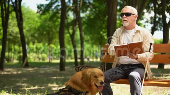 盲人在阅读书籍时感到快乐与狗一起休息有社会安全感视频的预览图