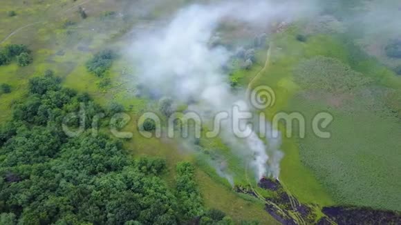 无人驾驶飞机在森林旁边燃烧着青草火焰逼近绿色森林飞过烟雾视频的预览图