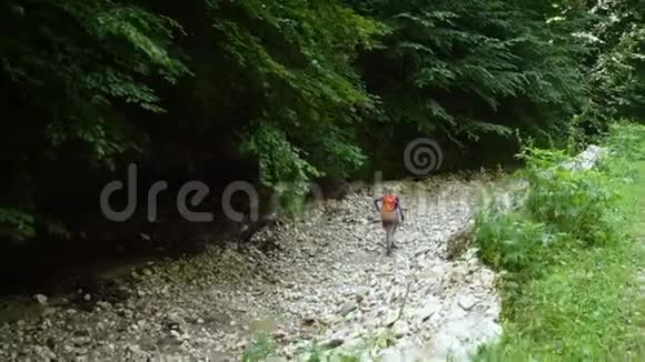 活跃的小女孩在扎内斯蒂乌卢峡谷徒步旅行视频的预览图