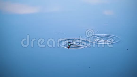 在钓鱼的时候在水中为钓竿的浮子近距离观察一个漂浮在蓝色的水中视频的预览图