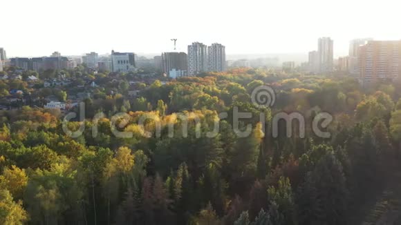 巨大美丽的秋天城市公园和高楼大厦的背景城市公园的五彩落叶树秋天视频的预览图