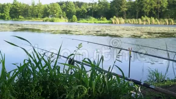 三个专业钓竿等待水河上的叮咬夏日湖上的钓鱼竿视频的预览图