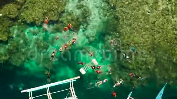 菲律宾Moalboal珊瑚礁游客浮潜视频的预览图