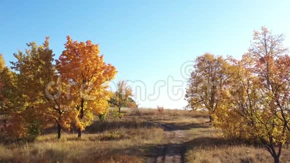 史诗般的空中飞行越过五颜六色的秋树沿着土路走向田野和五颜六色的森林启发视频的预览图