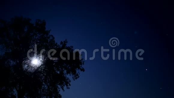 夜晚的星空天空中的一颗流星月亮在树枝后面夜空中月亮的运动视频的预览图