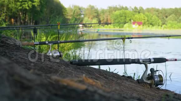 四个专业钓竿等待水河上的叮咬夏日湖上的钓鱼竿视频的预览图