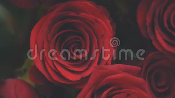 一束束美丽的大红玫瑰我的感情视频的预览图
