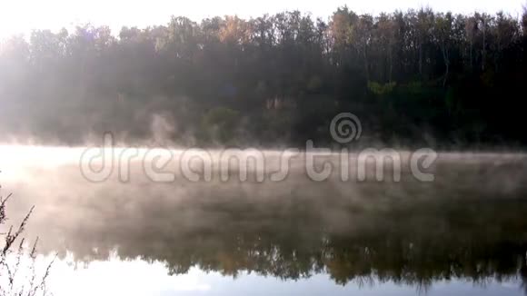 森林池塘早上好视频的预览图