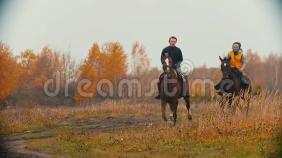 两个女人骑在马背上跑在秋天的田野上一只狗跟着他们视频的预览图