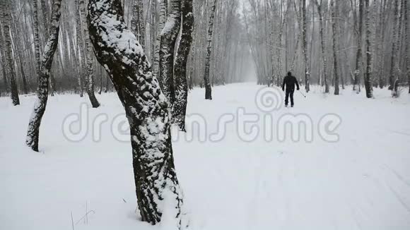 冬林中滑雪者的剪影视频的预览图