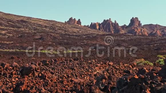 夏季火星表面概念红石覆盖高山绿丛的沙漠植物可以视频的预览图