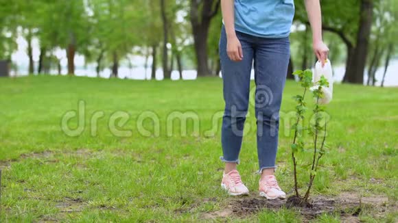 微笑的女性志愿者在公园的灌木丛中寻找树尊重自然视频的预览图