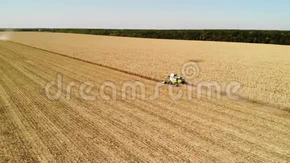 鸟瞰现代联合收割小麦的黄色麦田从左边看农业现场视频的预览图