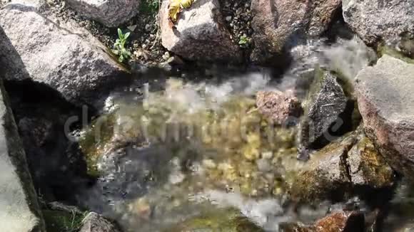 小溪瀑布放松声视频的预览图