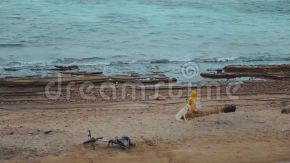 美丽的女人与拉布拉多猎犬在海边的石岸海滩上海浪在海岸上埃及西奈视频的预览图