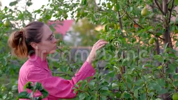 一个年轻的女农民从树上摘下一个梨视频的预览图
