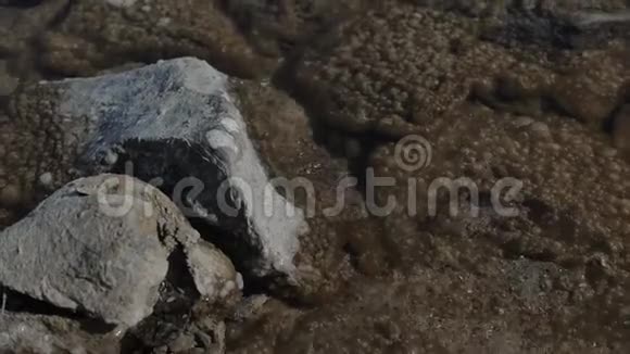 透过清澈的水棕色的岩石底部覆盖着许多气泡是可见的视频的预览图