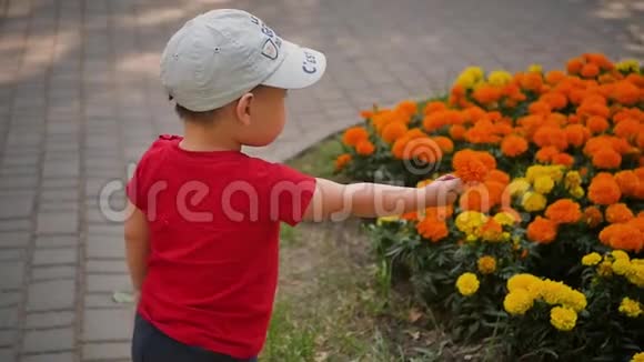快乐的小男孩手里拿着一朵花靠近一个城市的花坛慢动作视频的预览图