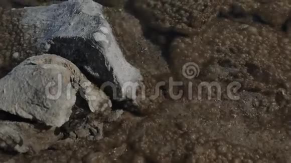 透过清澈的水棕色的岩石底部覆盖着许多气泡是可见的视频的预览图
