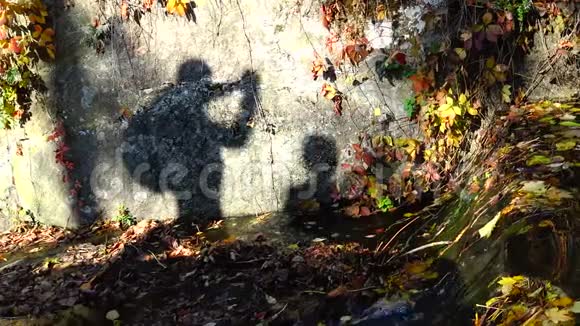 人的影子在墙上黄色的叶子在苏菲斯基公园的小溪里视频的预览图