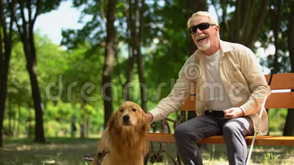 正盲人喂养导盲犬坐在公园里营养丰富的犬类食物视频的预览图