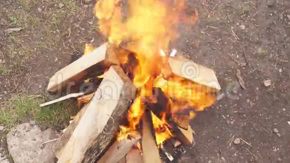 近距离拍摄大自然的旅游篝火户外烧烤视频的预览图