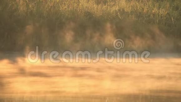 雾挂在湖面上阳光透过森林背景照射视频的预览图